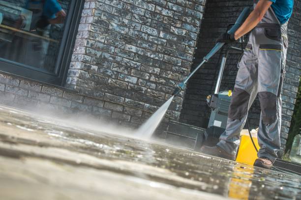 Best Pool Deck Cleaning in Savanna, IL