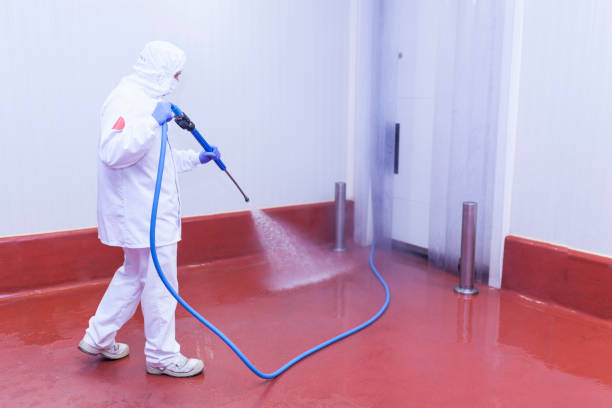 Best Concrete Surface Cleaning in Savanna, IL
