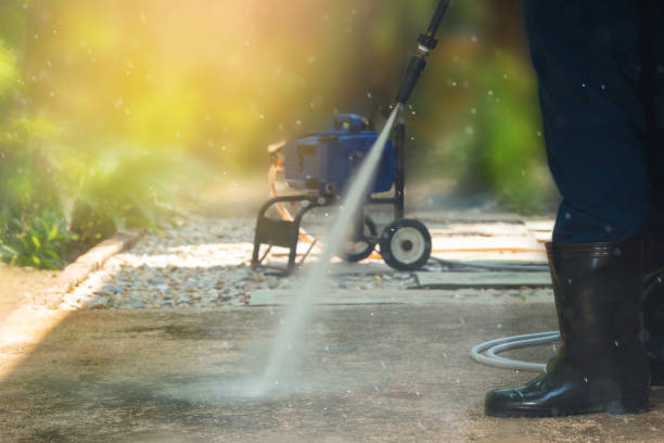 Best Graffiti Removal Services in Savanna, IL